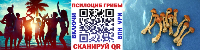 Купить  Юхнов  Галлюциногенные грибы Magic Shrooms 